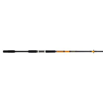 Bigwater Spinning Rod