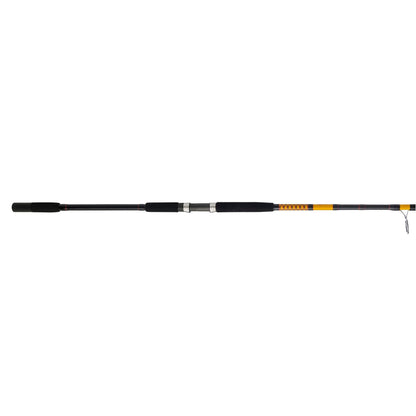 Bigwater 2-Piece Spinning Rod