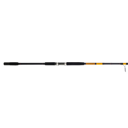 Bigwater Spinning Rod
