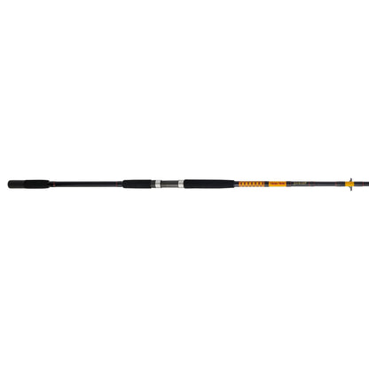 Bigwater 2-Piece Spinning Rod