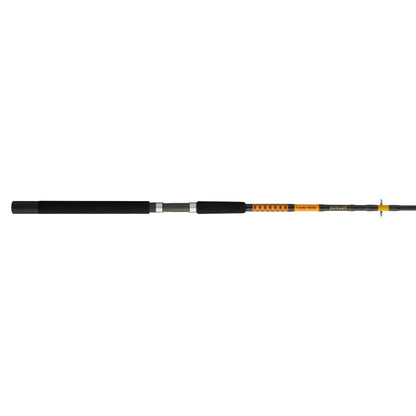 Bigwater 2-Piece Spinning Rod