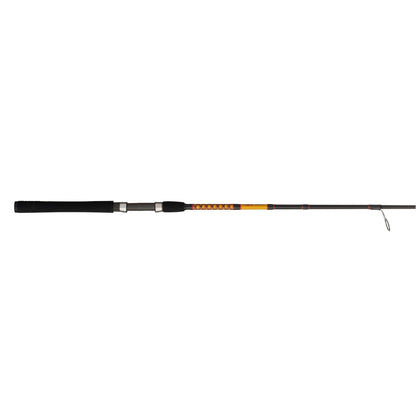 Bigwater 2-Piece Spinning Rod