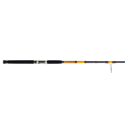 Bigwater 2-Piece Spinning Rod